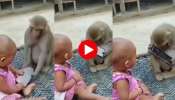 Baby And Monkey Video: ആകാംക്ഷ കാണില്ലേ? കുട്ടിയുടെ കയ്യിൽ നിന്നും ഫോൺ എടുത്ത് കുരങ്ങ്-Viral 