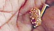 Nose Ring in Dosa Batter : കടയിൽ നിന്ന് മാവ് വാങ്ങി, ദോശ ചുട്ടപ്പോൾ സീരിയൽ നടിക്ക് ലഭിച്ചത് സ്വർണ്ണ മൂക്കുത്തി  