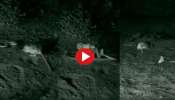 Viral Video: ഞാനിപ്പോ വരാട്ടോ.. പാമ്പിന്റെ വായിൽ നിന്നും നൈസായി രക്ഷപ്പെടുന്ന ഏലി..! 
