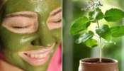 Beauty Tips: അഴകാര്‍ന്ന സുന്ദരമായ  ചര്‍മ്മത്തിന്  തുളസി, അടുക്കളയില്‍നിന്നും ചില നുറുങ്ങുകള്‍  