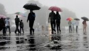 Kerala Rain Alert: തീവ്ര മഴയ്ക്ക് സാധ്യത, ഏഴ് ജില്ലകളിൽ ഓറഞ്ച് അലർട്ട്; കാലവർഷം മെയ് 27ന്
