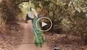 Viral Video: മയിൽ പറക്കുന്ന മനോഹര ദൃശ്യം...! വീഡിയോ വൈറൽ