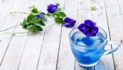 Blue Tea Benefits: ​ഗ്രീൻ ടീ, ബ്ലാക്ക് ടീ എന്നൊക്കെ കേട്ടിട്ടുണ്ട്, എന്താണ് ഈ ബ്ലൂ ടീ? ​ഗുണങ്ങൾ അറിയാം