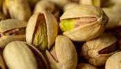 Pistachio health benefits: പിസ്തയുടെ ആരോഗ്യ ഗുണങ്ങൾ; നിങ്ങളുടെ ഭക്ഷണത്തിൽ പിസ്ത ഉൾപ്പെടുത്തേണ്ടതിന്റെ കാരണങ്ങൾ അറിയുക