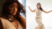 Shriya saran: ഹോട്ട് ലുക്കിൽ ശ്രേയ ശരൺ, എത്ര മനോഹരമെന്ന് ആരാധകർ