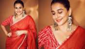 Happy Birthday Vidya Balan: ബോൾഡ് ആൻഡ് ബ്യൂട്ടിഫുൾ; &#039;നിർഭാഗ്യവതിയായ നായികയിൽ നിന്ന് മികച്ച നടി&#039;യിലേക്ക് വളർന്ന വിദ്യാ ബാലൻ