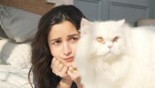 Alia Bhatt: സൺഡേ ചിത്രങ്ങളുമായി ആലിയ ഭട്ട്; ഒപ്പമുള്ള ആൾ അൽപം ​ഗൗരവത്തിലാണ്!