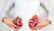 Kidney Failure Symptoms : വൃക്ക രോഗത്തിന്റെ ആദ്യ ലക്ഷണങ്ങൾ ഇവയാണ്; അവഗണിക്കരുത് 