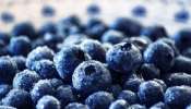 Blueberries benefits: വീക്കം ചെറുക്കുന്നത് മുതൽ തലച്ചോറിന്റെ പ്രവർത്തനം മികച്ചതാക്കുന്നത് വരെ... നിരവധിയാണ് ബ്ലൂബെറിയുടെ ആരോ​ഗ്യ ​ഗുണങ്ങൾ