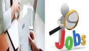 IT Sector Job Layoffs: ഐടി മേഖലയില്‍ വൻ പ്രതിസന്ധി, ജോലി നഷ്ടപ്പെട്ടത് 1.5 ലക്ഷം പേര്‍ക്ക് 