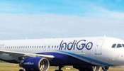 IndiGo passengers arrested: ദുബായ്-മുംബൈ ഇൻഡി​ഗോ വിമാനത്തിൽ മദ്യപിച്ച് ബഹളമുണ്ടാക്കി; രണ്ട് യാത്രക്കാർ അറസ്റ്റിൽ