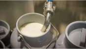 Adulterated milk: സംസ്ഥാനത്ത് മൂന്ന് കമ്പനികളുടെ പാലിൽ മായം; സ്ഥിരീകരിച്ച് ക്ഷീര വികസന വകുപ്പ്