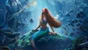 International Mermaid Day : മത്സ്യ കന്യകകളെ കുറിച്ച് നിങ്ങൾക്ക് അറിയാത്ത ചില കഥകൾ 