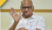 NCP Leader Sharad Pawar: അധ്യക്ഷസ്ഥാനം വീണ്ടും ഏറ്റെടുക്കുന്നു; തീരുമാനം പിന്‍വലിച്ച് ശരദ് പവാര്‍