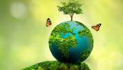 World Environment Day 2023: ഇന്ന് ലോക പരിസ്ഥിതി ദിനം; അറിയാം പരിസ്ഥിതിയെ സംരക്ഷിക്കേണ്ടതിന്റെ പ്രധാന്യം