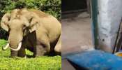 Wild Elephant: മൂന്നാറില്‍ വീണ്ടും പടയപ്പയുടെ ആക്രമണം; റേഷൻകട തകർത്തു
