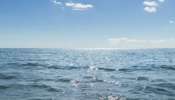 World Oceans Day 2023: ലോക സമുദ്ര ദിനം ആചരിക്കുന്നത് എന്തിന്? അറിയാം ഇതിന്റെ ചരിത്രവും പ്രാധാന്യവും