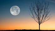 Super Blue Moon 2023: സൂപ്പര്‍ ബ്ലൂ മൂണ്‍ ഇന്ന് രാത്രിയില്‍ ദൃശ്യമാകും, ഏറ്റവും വലുതും തെളിച്ചമുള്ളതുമായ ചന്ദ്രനെ എപ്പോള്‍ കാണാം?  