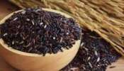 Black Rice: കറുത്ത അരിയെക്കുറിച്ച് കേട്ടിട്ടുണ്ടോ? പ്രതിരോധശേഷി വർദ്ധിപ്പിക്കാനും ഹൃദയ സംബന്ധമായ അസുഖങ്ങൾക്കും ഉത്തമം ഈ സൂപ്പർഫുഡ്