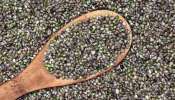Hemp Seeds Benefits: ചെറിയ വിത്തുകളുടെ വലിയ ​ഗുണങ്ങൾ; അറിയാം ചണവിത്തിൻറെ ​ഗുണങ്ങൾ