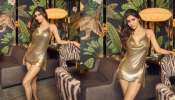 Mouni Roy : ഹോട്ട് ഗോൾഡൻ ഗൗണില്‍ മൗനി റോയ്‌, ചിത്രങ്ങൾ