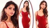 Suhana Khan: റെഡ് ബോഡികോൺ ഗൗണിൽ ​ഗ്ലാമറസ് ലുക്കിൽ സുഹാന ഖാൻ