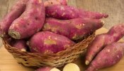 Sweet Potato Benefits: മധുരക്കിഴങ്ങിന്റെ മധുരം കിനിയും ​ഗുണങ്ങൾ..!