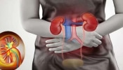 Kidney desease: ഇരു വൃക്കകളും തകരാറിലായ ഒരു വ്യക്തി ഡയാലിസിസിലൂടെ അതിജീവിക്കുമോ...? ഡോക്ടർമാർ പറയുന്നതിങ്ങനെ‌