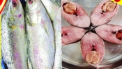Fish consumption in India: ഇന്ത്യയിലെ മീൻ കൊതിയന്മാർ ഇവർ! ഏറ്റവും കൂടുതൽ മത്സ്യവിഭവം കഴിക്കുന്നവരുള്ള സംസ്ഥാനം ഇത്