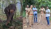 Elephant Attack: കല്ലാറിൽ ആനസവാരി കേന്ദ്രത്തിലെ പാപ്പാനെ ആന ചവിട്ടി കൊലപ്പെടുത്തിയ സംഭവത്തിൽ കേസെടുത്ത് വനം വകുപ്പ്
