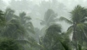 Kerala Rain Update: സംസ്ഥാനത്ത് മഴ കനക്കുന്നു; മലപ്പുറത്ത് റെഡ് അലർട്ട്, ഏഴിടത്ത് ഓറഞ്ച് അലർട്ട്