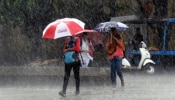 Kerala rain: സംസ്ഥാനത്ത് ഇന്നും മഴ തുടരും; 4 ജില്ലകളിൽ യെല്ലോ അല‍ർട്ട്