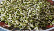 Sprouted beans: ആരോ​ഗ്യം വേണോ? മുളപ്പിച്ച പയർ കഴിക്കുന്നത് ശീലമാക്കൂ........