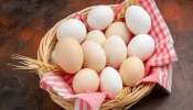 Eggs Health Benefits: ദഹനത്തിന് മികച്ചത്, പോഷകങ്ങളാൽ സമ്പന്നം; അറിയാം മുട്ടയുടെ ഗുണങ്ങൾ