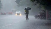 Kerala Rain Update: തീവ്ര ന്യൂനമർദ്ദം രൂപപ്പെടും; വരും ദിവസങ്ങളിൽ മഴ ശക്തമാകും, യെല്ലോ അലർട്ട് 2 ജില്ലകളിൽ