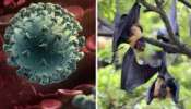 Nipah Virus: സംസ്ഥാനത്ത് നിപ രോ​ഗബാധ; കേന്ദ്രസംഘം വീണ്ടും എത്തും, പഴം തീനി വവ്വാലുകളെ നിരീക്ഷിക്കും