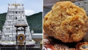 Tirupati Laddu: വിവാദങ്ങൾ നിറഞ്ഞ തിരുപ്പതി ലഡ്ഡു! പ്രസാദത്തിൽ പുകയില കണ്ടെത്തിയതായി ആരോപണം