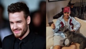 Liam Payne: &#039;വൺ ഡയറക്ഷൻ&#039; ഗായകന് ദാരുണാന്ത്യം; ബാൽക്കണിയിൽ നിന്ന് പുറത്തേക്ക് ചാടിയതെന്ന് പ്രാഥമിക നി​ഗമനം