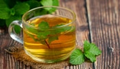 Mint Tea: പുതിന ചായ കുടിക്കാം; ഗുണങ്ങൾ ഒട്ടേറെ....