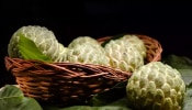 Health Benefits Of Custard Apple: രുചിയിൽ മാത്രമല്ല, ആരോഗ്യഗുണങ്ങളിലും കേമനാ! സീതപ്പഴത്തിന്റെ ഈ ഗുണങ്ങൾ അറിയാമോ?