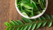 Curry Leaves Benefits: ചുമ്മാതങ്ങെടുത്ത് കളയല്ലേ! രുചിയിൽ മാത്രമല്ല, ​ഗുണത്തിലും ബഹുകേമനാണ്