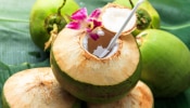 Coconut Water: പതിവായി കരിക്കിൻ വെള്ളം കുടിച്ച് നോക്കൂ...ഈ ഗുണങ്ങൾ നിങ്ങളെ അത്ഭുതപ്പെടുത്തും!