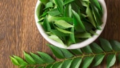 Curry Leaves: ഈ കുഞ്ഞൻ ഇലയ്ക്കുമുണ്ട് ഒരായിരം ഗുണങ്ങൾ; വെറുംവയറ്റിൽ കറിവേപ്പില കഴിച്ച് നോക്കൂ...നേട്ടങ്ങൾ നിരവധി!