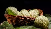 Custard Apple: സീതപ്പഴം നിസ്സാരക്കാരനല്ല! അറിയാമോ ഈ അത്ഭുത ഗുണങ്ങൾ