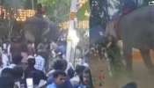 Kunnamkulam Pooram: കുന്നംകുളം പൂരത്തിനിടെ രണ്ടുതവണ ആന ഇടഞ്ഞു; 63കാരി ഉൾപ്പെടെ 5 പേർക്ക് പരിക്ക്