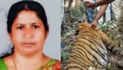 Mananthavady Tiger Attack: വയറ്റിൽ രാധയുടെ വസ്ത്രവും കമ്മലും മുടിയും, മരണകാരണം ആഴത്തിലുള്ള മുറിവ്; നരഭോജി കടുവയുടെ പോസ്റ്റ്മോർട്ടം പൂർത്തിയായി