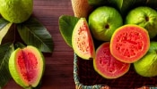 Guava Benefits And Side Effects: ആരോ​ഗ്യത്തിന് ബെസ്റ്റാണ്, പക്ഷേ... പേരയ്ക്കയുടെ ​ഗുണവും ദോഷവും അറിയാം...