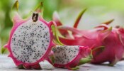 Dragon Fruit Benefits: പ്രതിരോധശേഷി കൂട്ടും, ശരീരഭാരം കുറയ്ക്കും; ഡ്രാ​ഗൺ ഫ്രൂട്ടിന്റെ ​ഗുണങ്ങളറിയാം...