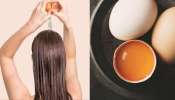 Hair Care Tips: മുട്ട പൊളിയാണ്... കരുത്തുള്ള മുടിക്ക് ഈ ഹെയർ പാക്കുകൾ ബെസ്റ്റാ!