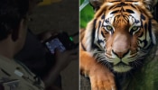 Tiger in Vandiperiyar: വണ്ടിപ്പെരിയാറിൽ ഭീതിപടർത്തിയ കടുവയെ കണ്ടെത്തി; ആരോഗ്യ സ്ഥിതി മോശമെന്ന് വനംവകുപ്പ്